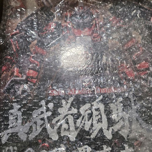 mg진무사건담 전국의 진 흑의대개