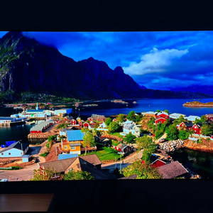 LG OLED 55인치(OLED55C2SNC) TV