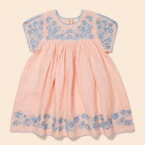 아폴리나 스티비 3-5