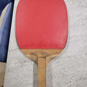 엑시옴 펜홀더 탁구라켓 판매합니다