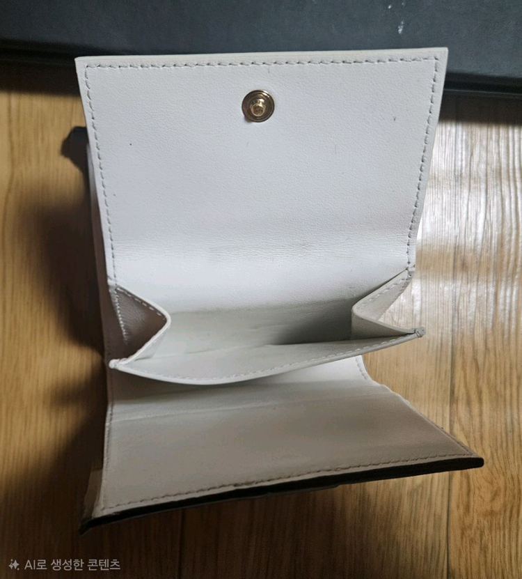 셀린느 트리옹프 캔버스 여성 3단 반지갑--8