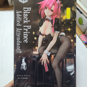 프링 벽람항로 아주르 레인 블랙 프린스 바니 판매 및 교환 해요. 프린스 오브 웨일즈 교환도 가능합니다.