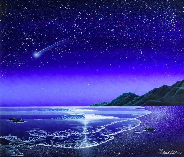 리챠드 골드만 유화 별이 빛나는 밤바다 그림액자--1