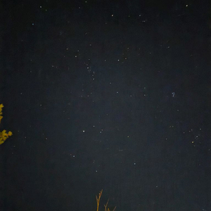 알로항머니 삽니다 이미지