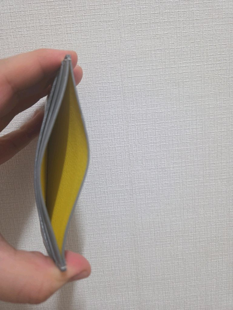 고야드 스페셜컬러 카드지갑--2