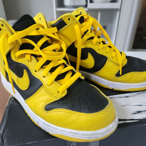 나이키 덩크 하이 바시티메이즈 270