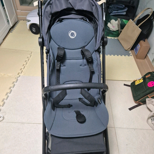 부가부 버터플라이