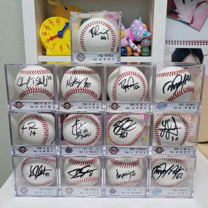 싸인볼 정리합니다 2