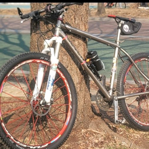 티타늄 세븐솔라 골드 mtb
