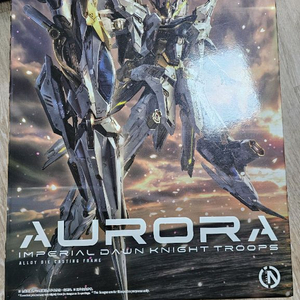 인피니트디멘션 오로라+서비스프라 팝니다.