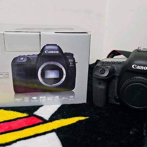 캐논 EOS 5D Mark IV + 캐논 스피드 라이트 430EX 이미지