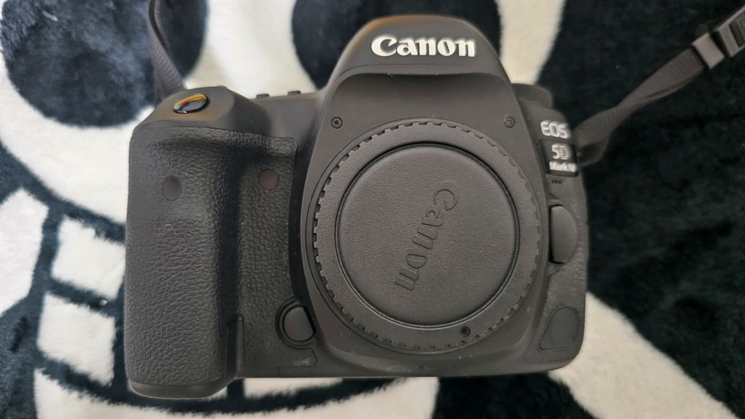 캐논 EOS 5D Mark IV + 캐논 스피드 라이트 430EX 이미지