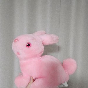 바드묘 바묘 빈티지토끼인형 핑크토끼 고전인형 판매합니다