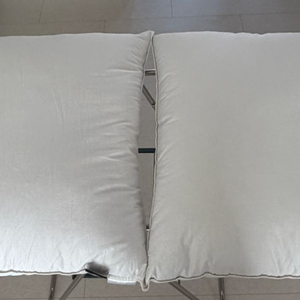 구스앤홈 프렌치덕 베개 2개