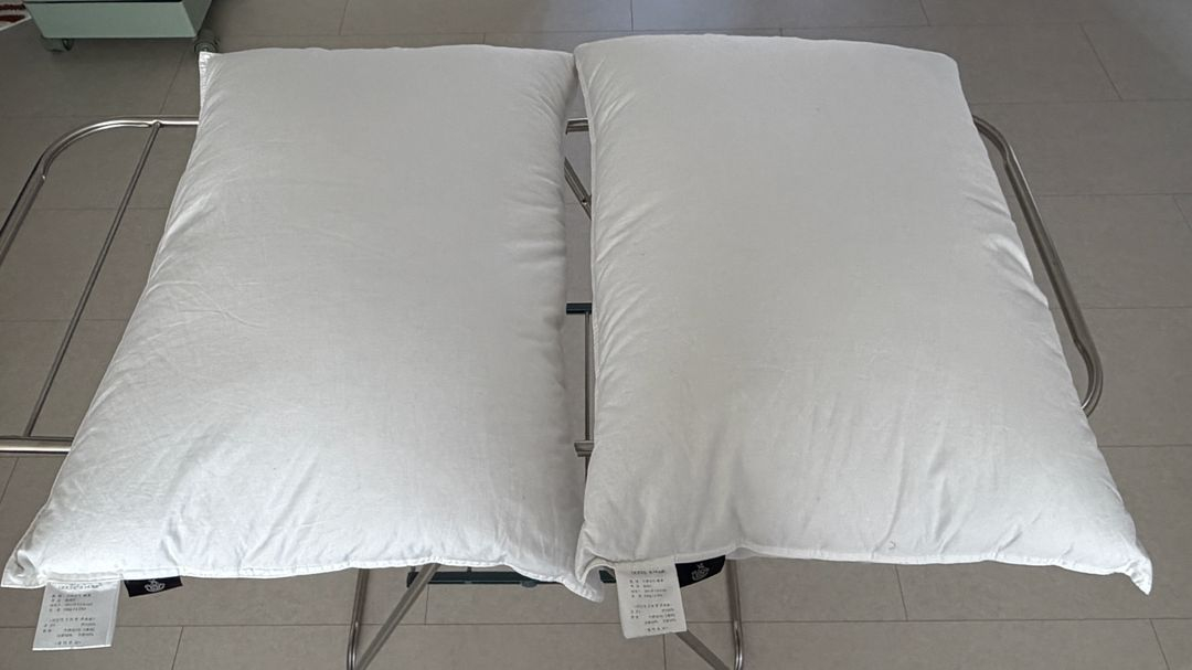 구스앤홈 프렌치덕 베개 2개--1