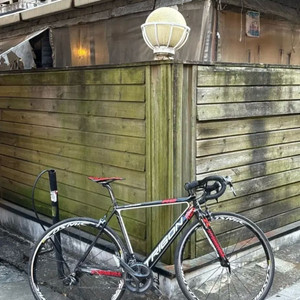 트리곤 타크니스 rs 이미지