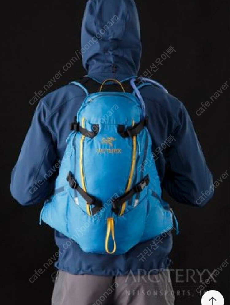 아크테릭스 CHILCOTIN Riptide 20L--8