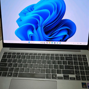 갤럭시북5 프로 (램 32GB,512GB, 울트라5, 16인치)