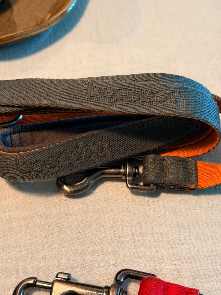 분독 러프웨어 강아지 리드줄 8개 일괄--1