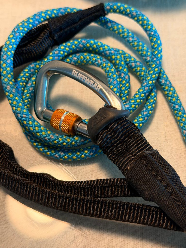 분독 러프웨어 강아지 리드줄 8개 일괄--5