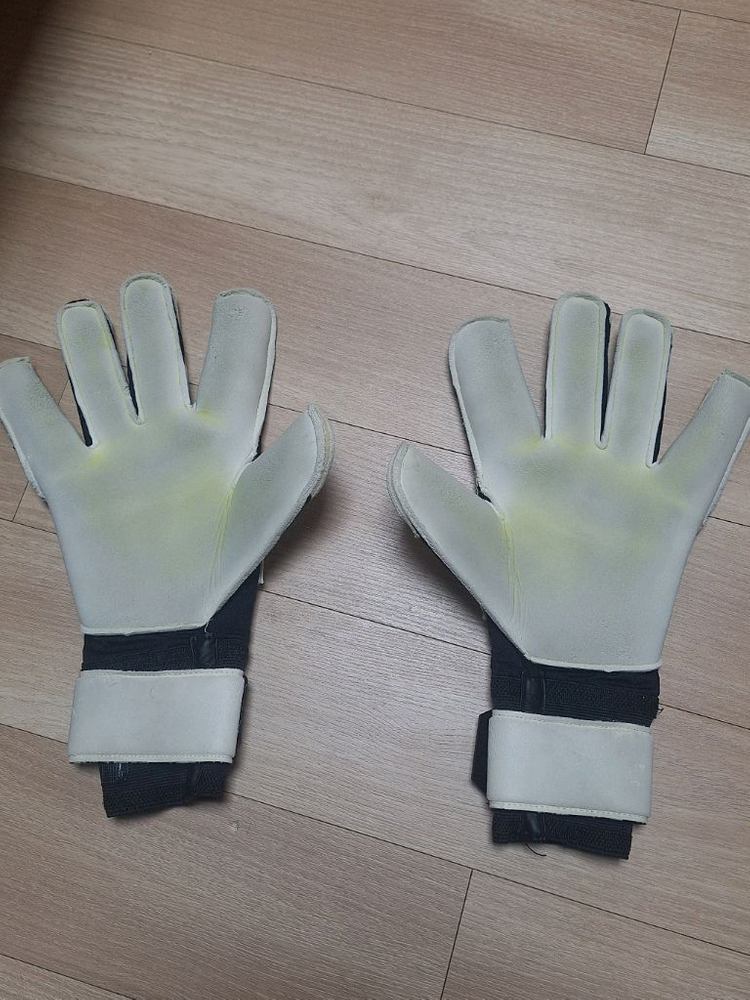 아르케오 골키퍼 장갑 11호/케이스x/네고o--1