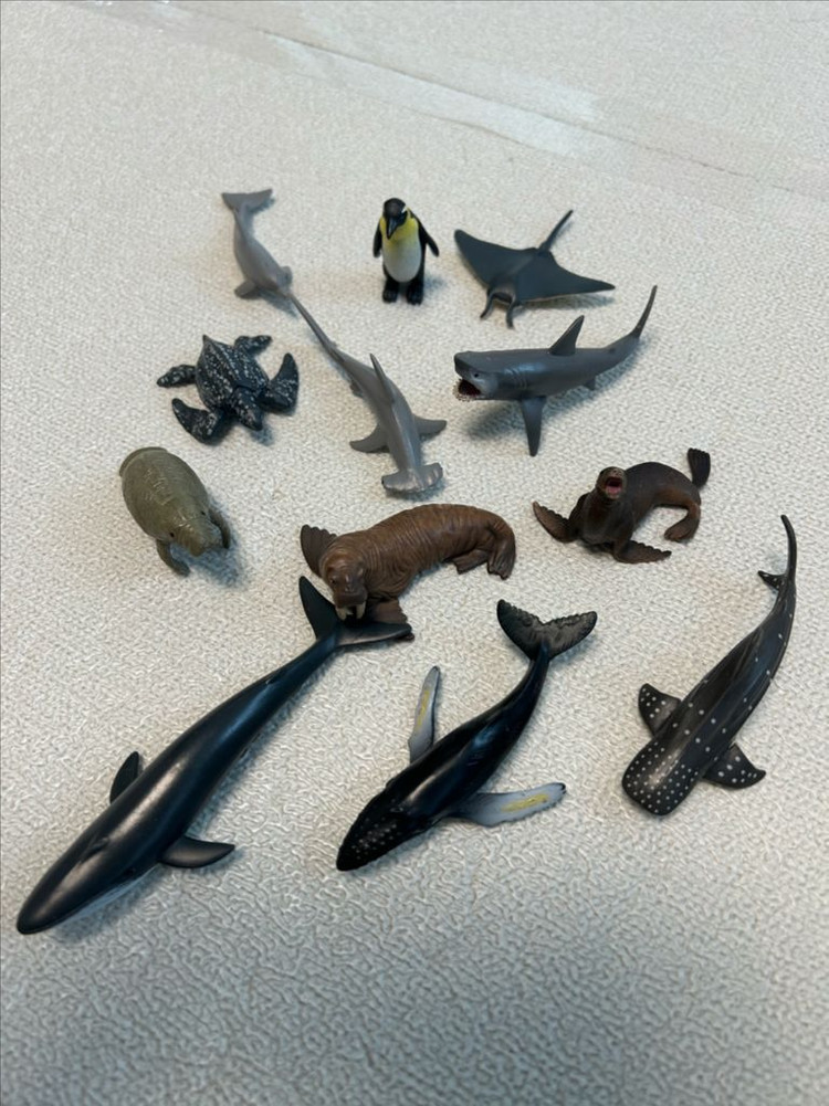 컬렉타 미니 해양동물 피규어 12종 세트 1~3--1