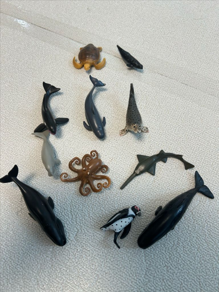 컬렉타 미니 해양동물 피규어 12종 세트 1~3--3