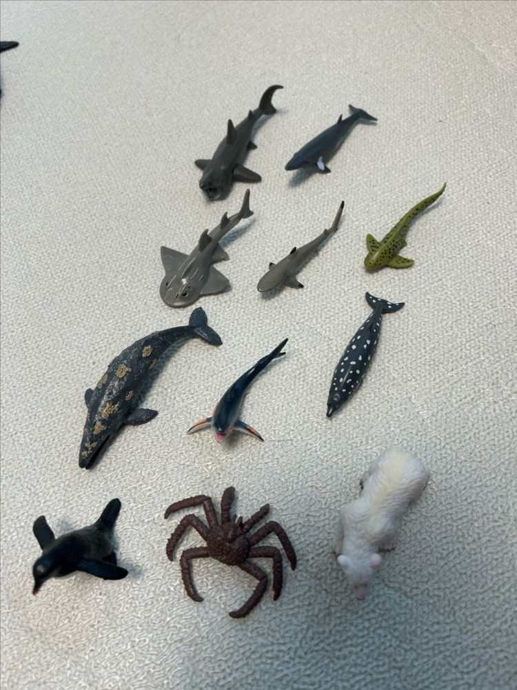 컬렉타 미니 해양동물 피규어 12종 세트 1~3--5