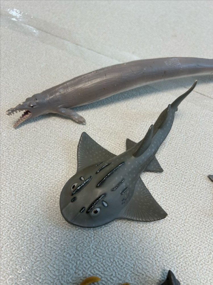 컬렉타 미니 해양동물 피규어 12종 세트 1~3--6