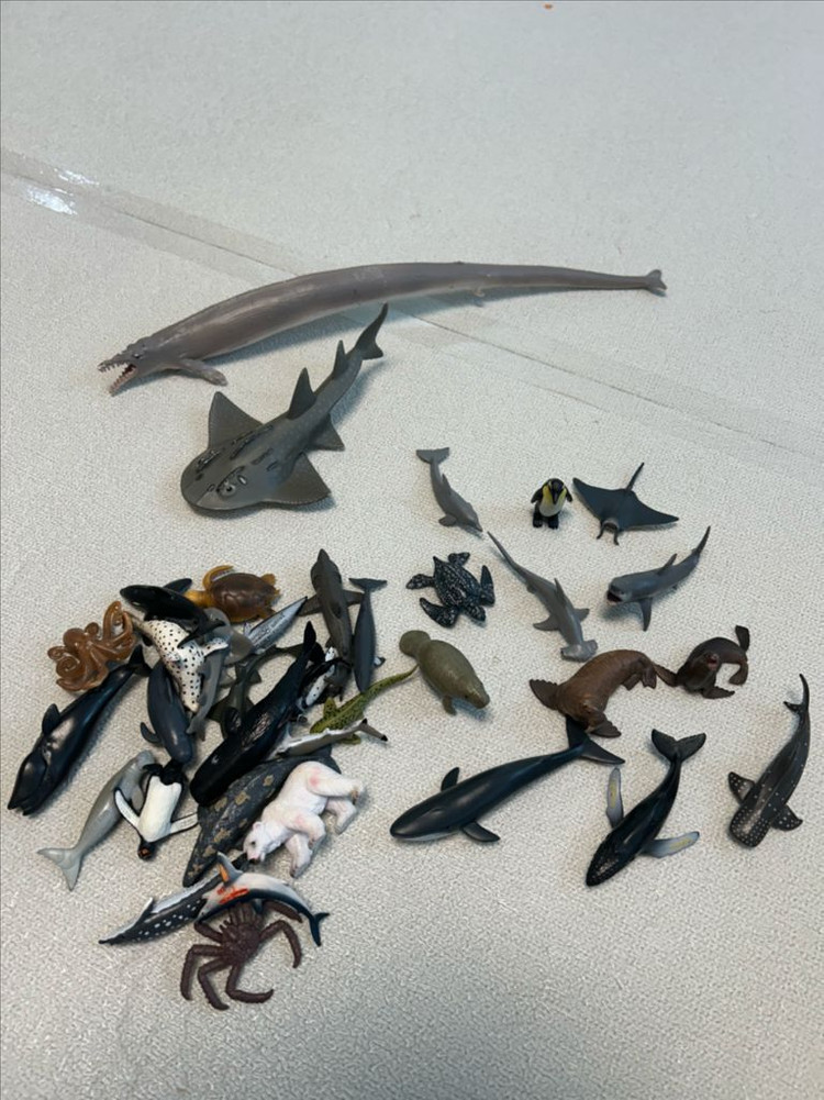 컬렉타 미니 해양동물 피규어 12종 세트 1~3--7