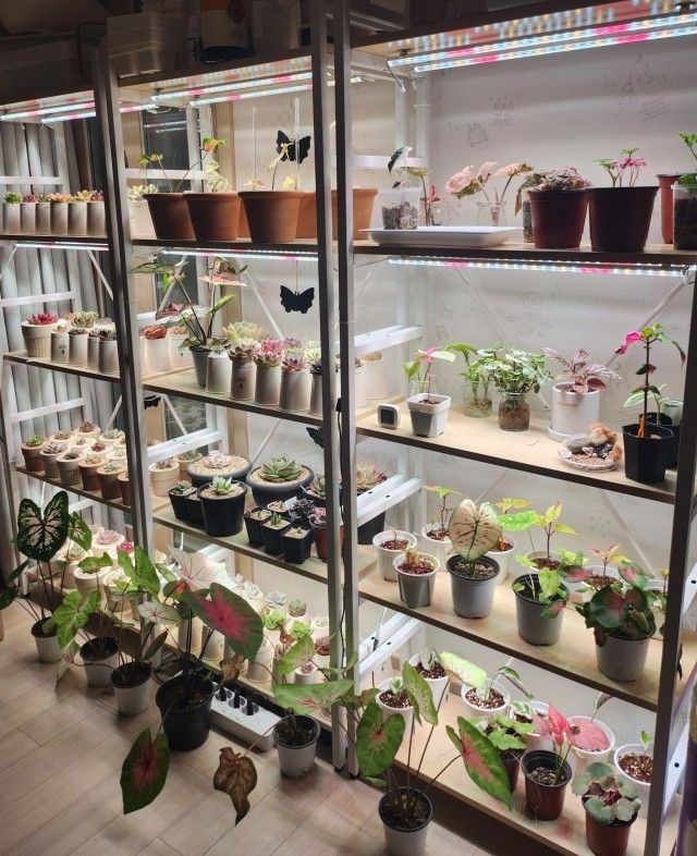 [최저가]튼튼 철제 책장 수납장 3단 4단 5단 6단 원목 정리 진열 선반--2