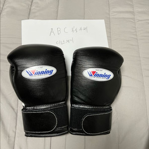 위닝 8온스 글러브 이미지