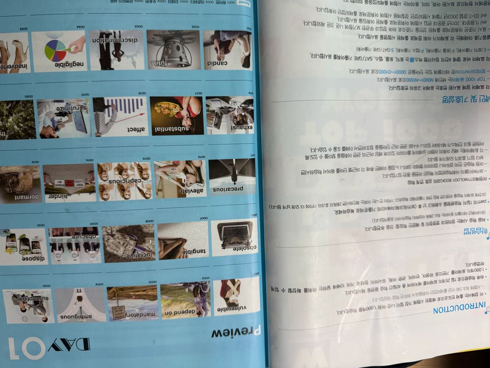 보카바이블4.0 구버전 세트 판매합니다--4