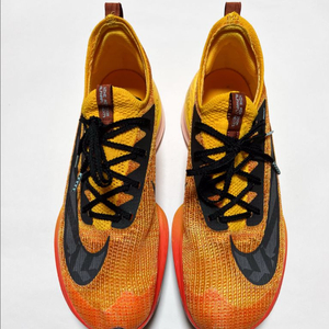 [290] 나이키 알파플라이 에키덴