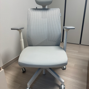 사이즈오브체어 베이직 m 사무실 사무용 게이밍 의자 팝니다.