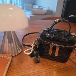 디올 레이디 마이크로 페이던트 베니티