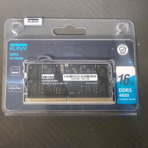 DDR5 16GB 클레브 램 CL40