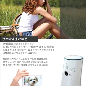 펫스테이션 자동 급식기 화이트