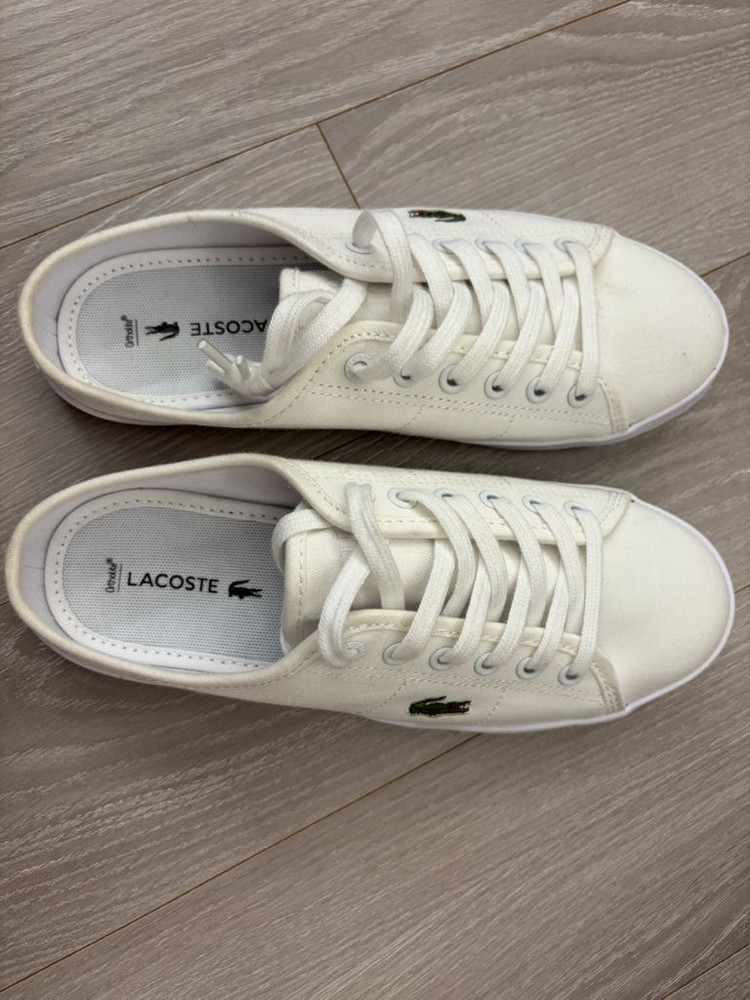 라코스테 뮬 us5(220)--1