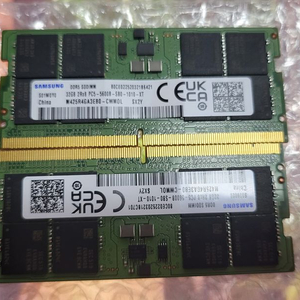 삼성전자 노트북 32g 램 DDR5-5600 (32GB)