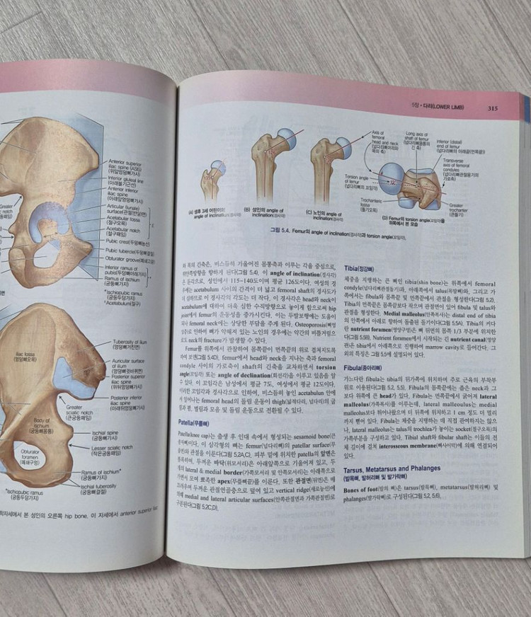 의학계열 전공서적 (틴티넬리 / 무어 티메 스넬 해부학 / 해부학 실습서 / KATZUNG 약리학 / 데블린 생화학--9