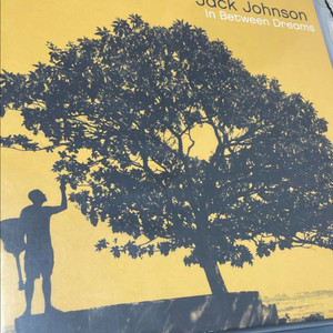 LP(Vinyl) Jack Johnson외 12장