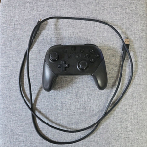 닌텐도 스위치 프로 컨트롤러