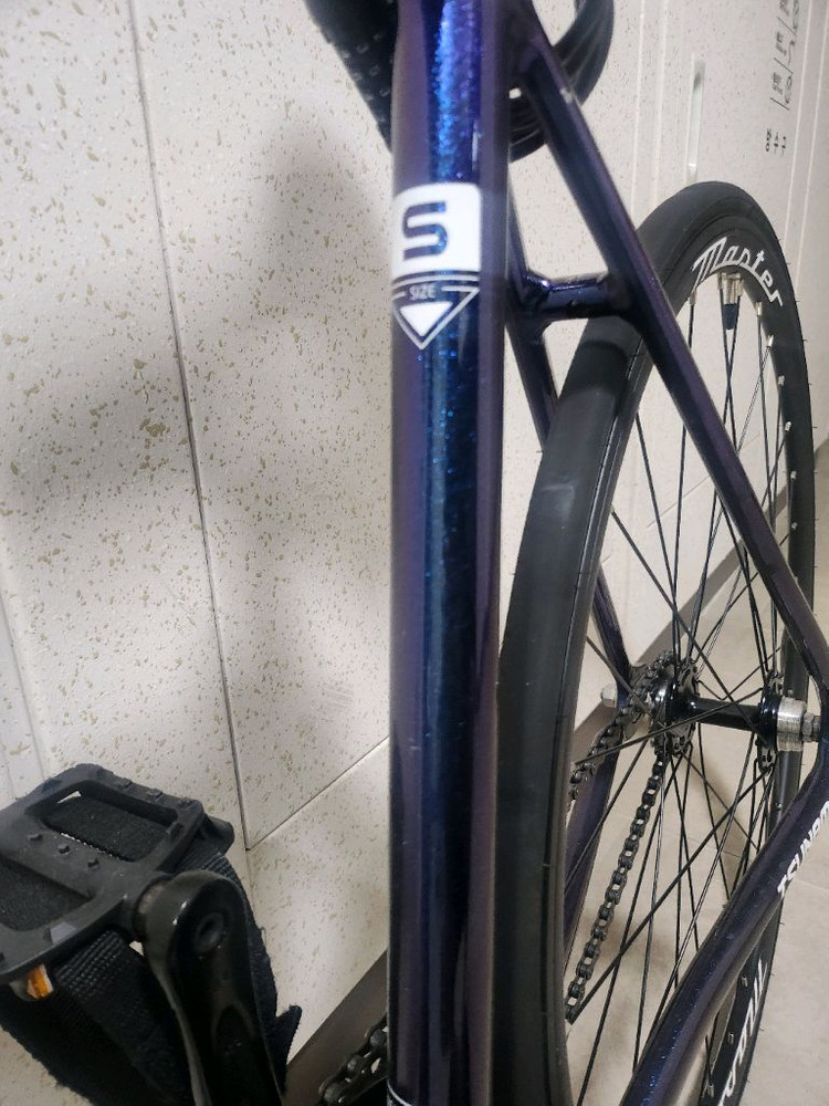 쓰나미 픽시 SNM100 카멜레온--2