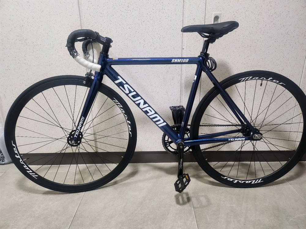 쓰나미 픽시 SNM100 카멜레온--5