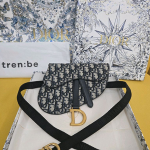 디올 오블리크 새들 벨트백