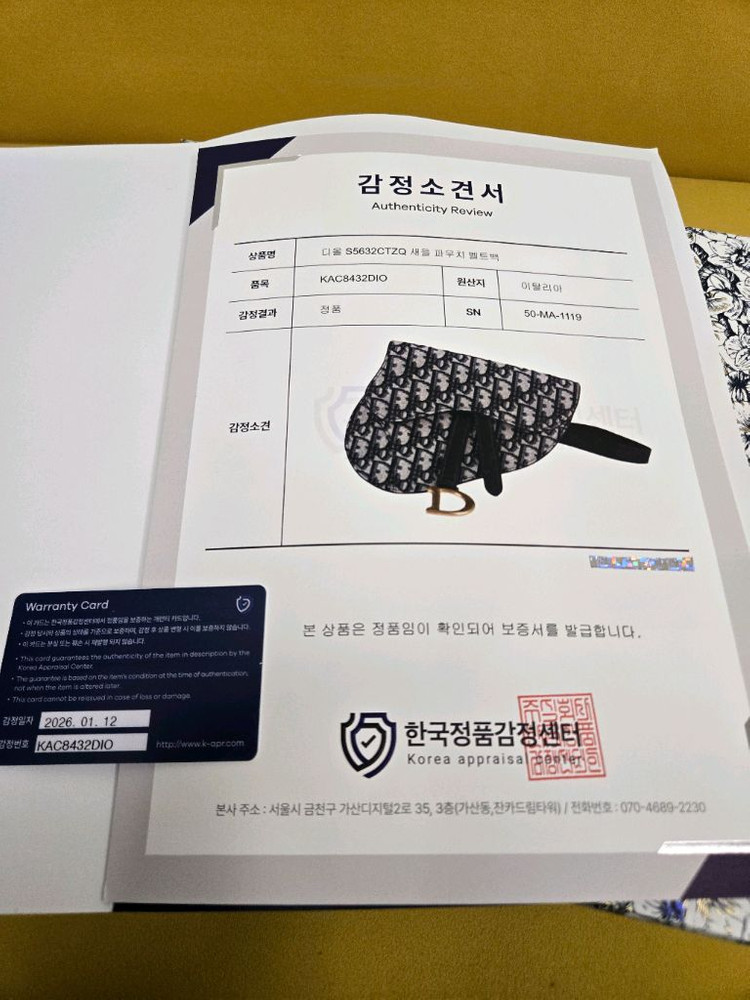 디올 오블리크 새들 벨트백 이미지