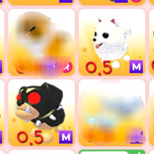 입양하세요 메가펫 ㅍㅍ 이미지