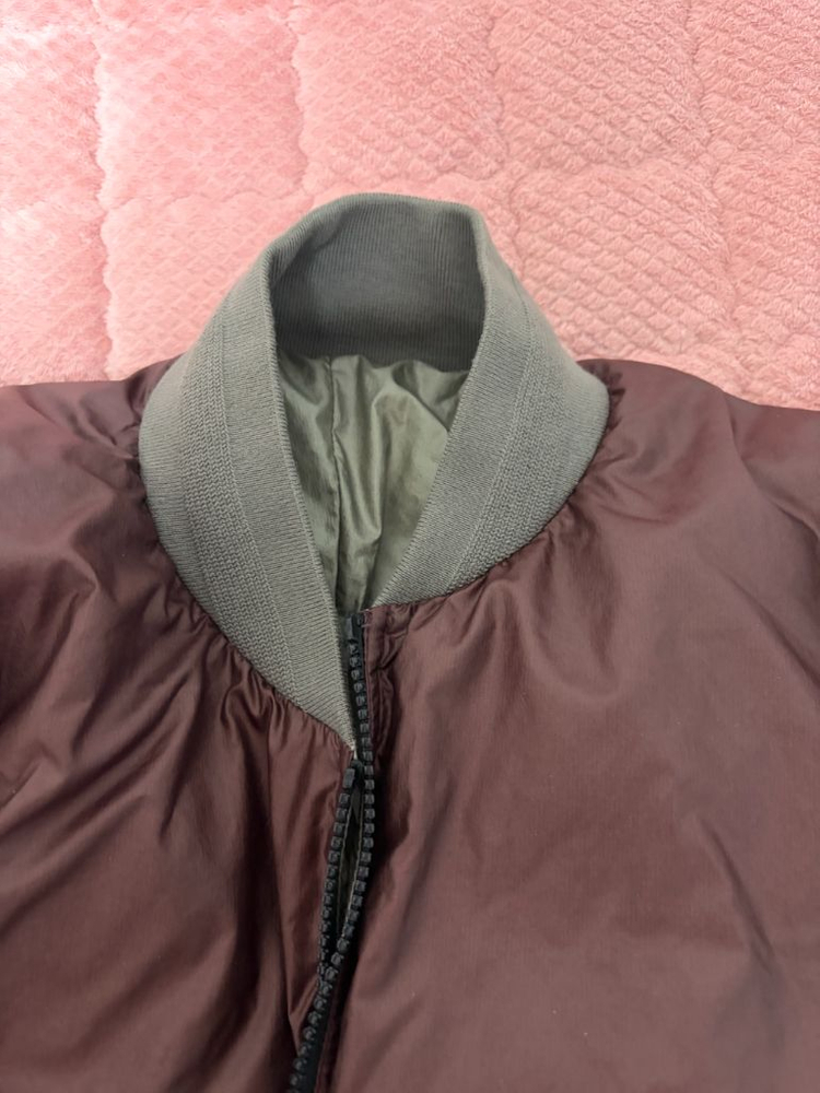 소피드후레구스--4