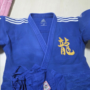 아디다스 챔피온2 청도복